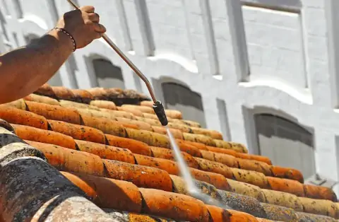 Nettoyage de toitures - Viroflay